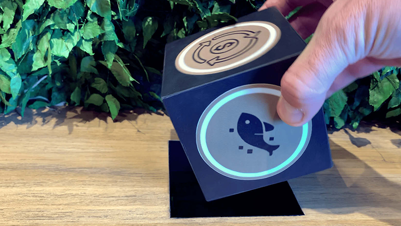 Carapreta - Carapreta's Digital Boutique  - 3