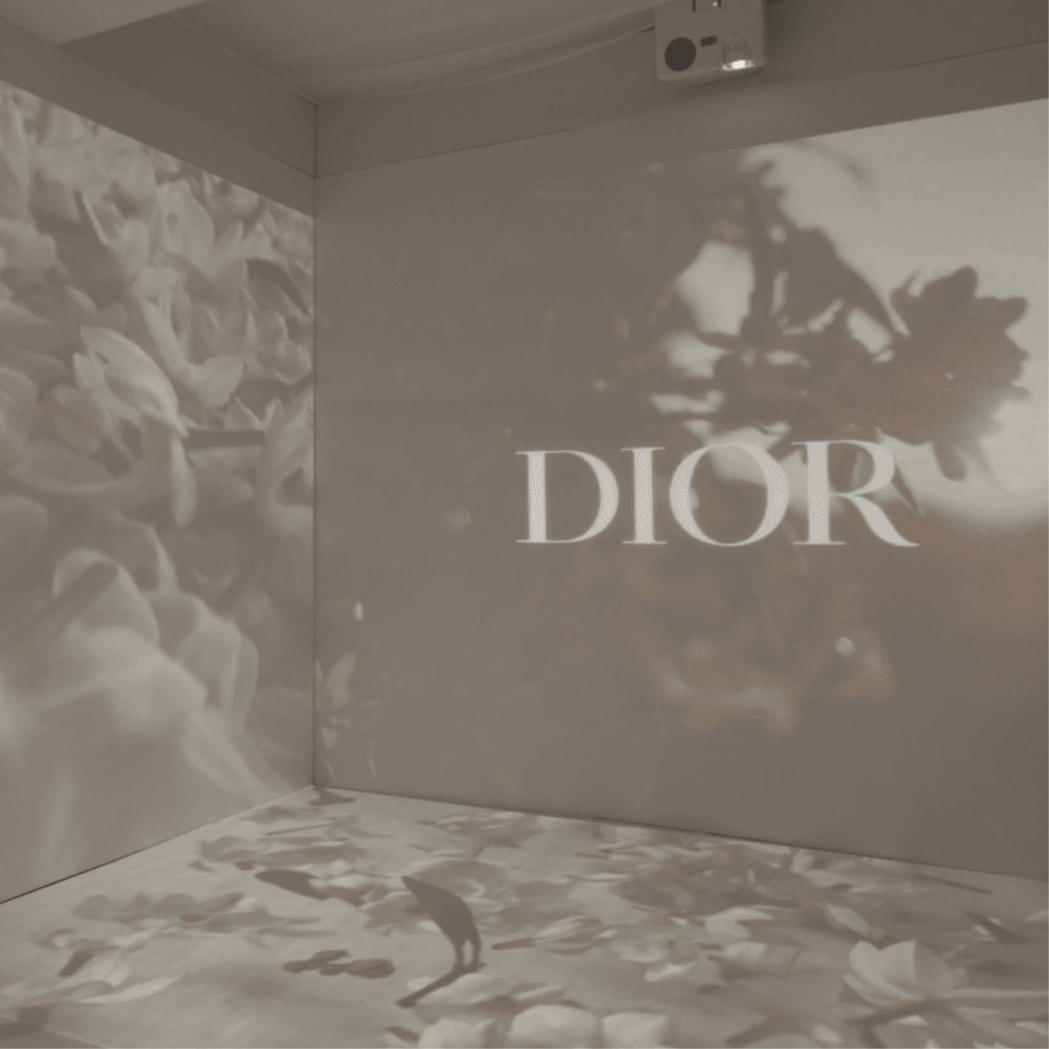 DIOR - Pop-up Imersiva Dior 